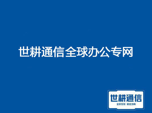 China MPLS-VPN Enterprise Virtual International Dedicated Line??? Solution//World Geng Communication