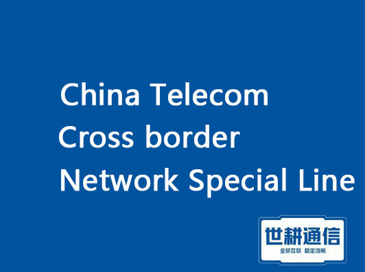 China Telecom Cross border Network Special Line.jpg