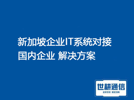 新加坡企业IT系统对接国内企业 .jpg