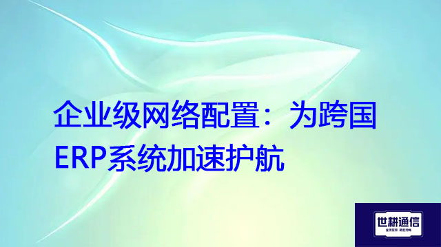 企业级网络配置：为跨国ERP系统加速护航  .jpg
